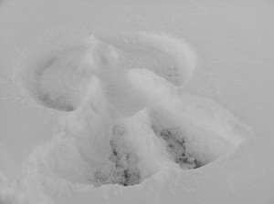 my snow angel