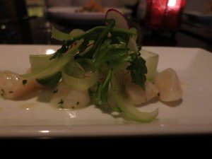 Bay scallop Ceviche