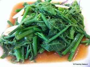 ผัดยอดผักแม้ว Stir-fired Chayote shoots